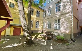 Old Town Lai Street Apartment With Private Parking